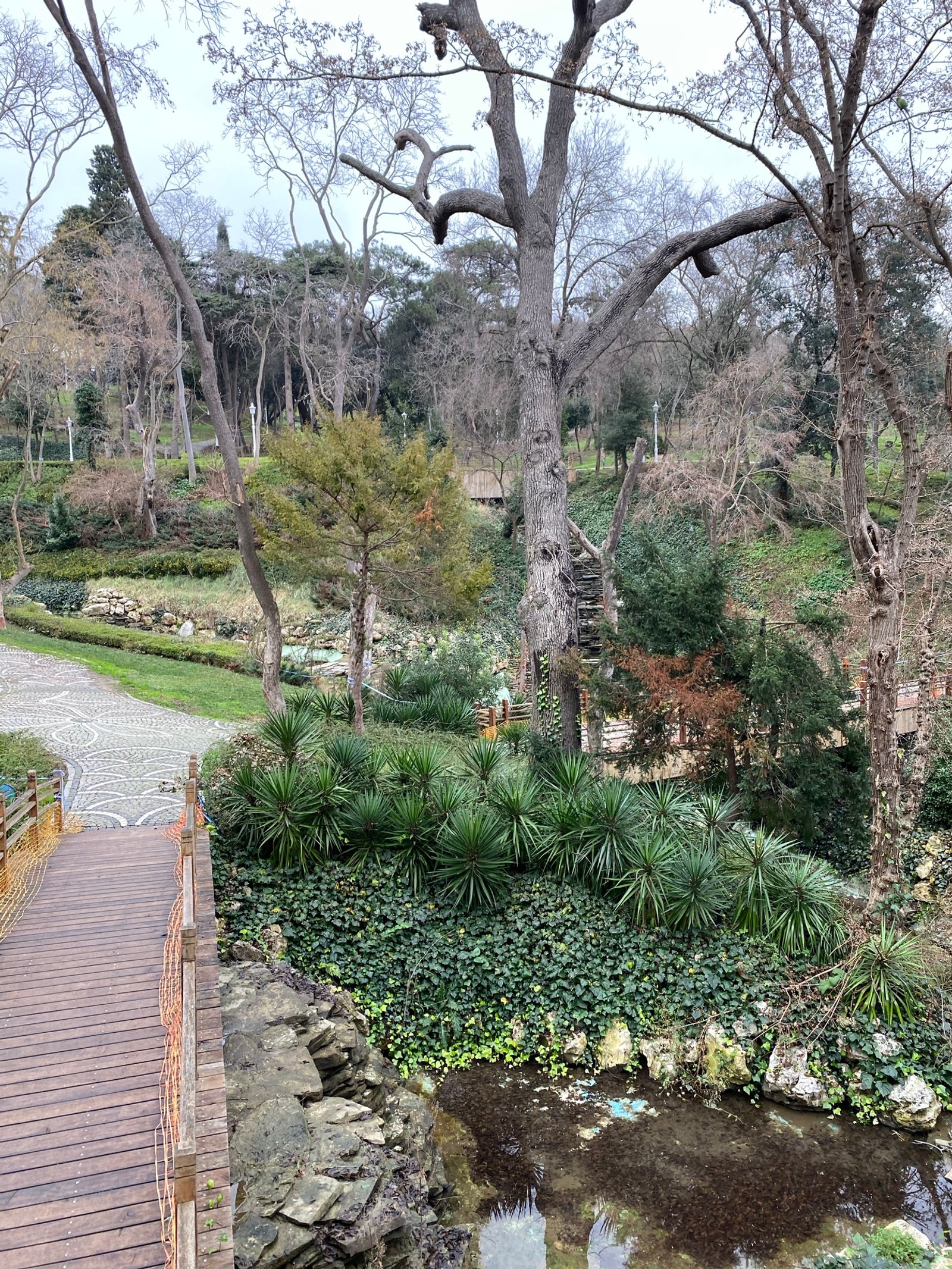 Há uma passarela de madeira que leva a um lago em um parque (vegetação, paisagem, jardim botânico, planta, água)