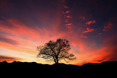 atardecer, resplandor, naturaleza, nube, horizonte