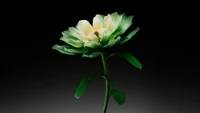 Luminous Green Flower Against a Dark Background in Digital Art