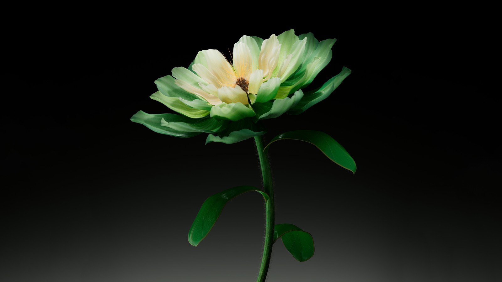 Une seule fleur est posée dans un vase (fleur verte, arrière plan sombre, art dia, ai art, 5k)