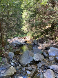 stream, water, riparian zone, stream bed, wilderness