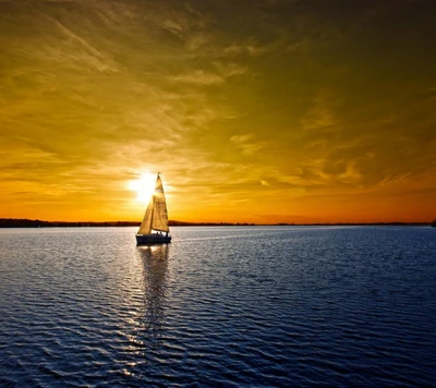 sailboats, mar, água