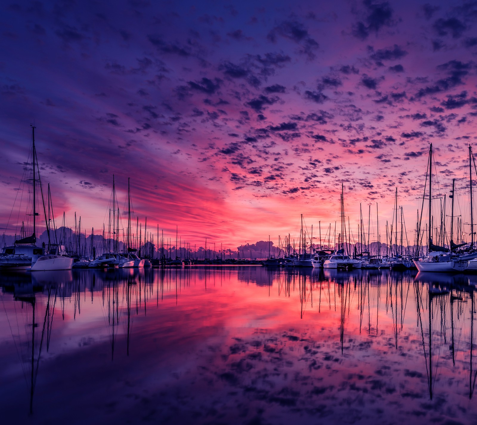 Vista de uma marina com muitos barcos ao pôr do sol (barcos, nuvens, porto, marina, roxo)