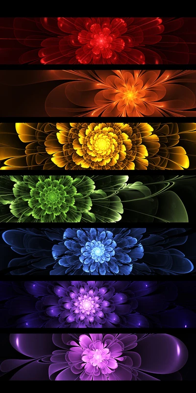 Colorful Fractal Flowers in a Rainbow Spectrum