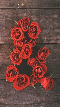 flowers, red, roses wallpaper