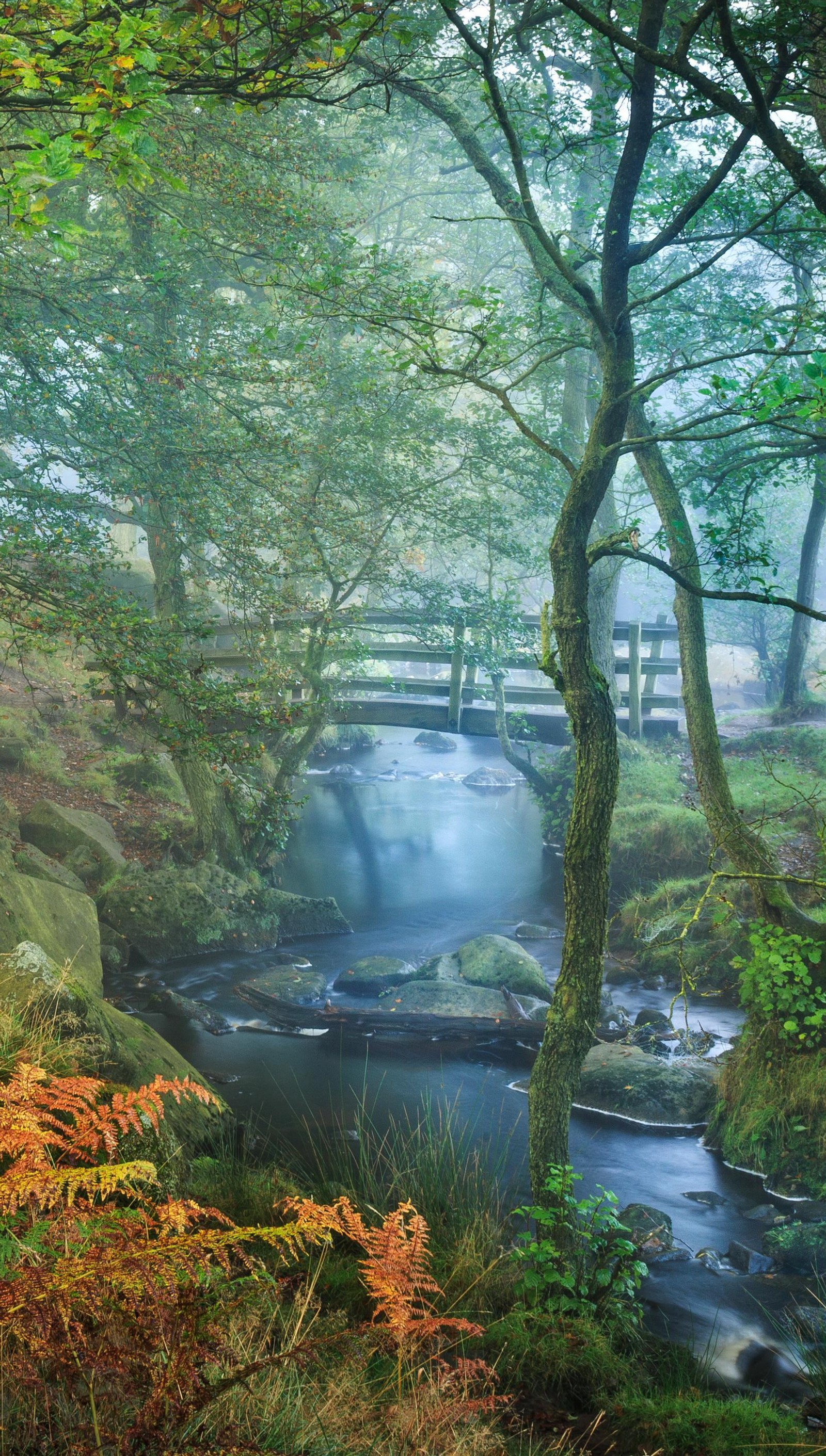 Pont arafed sur un ruisseau dans une forêt avec un pont en arrière-plan (génial, vert, flueve, arbre, la cascade)