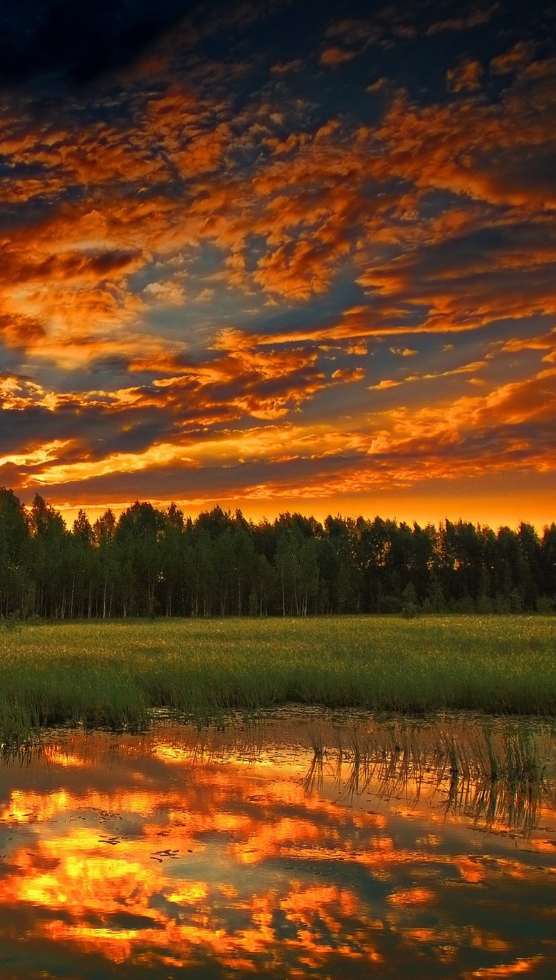 Coucher de soleil sur un champ avec un étang et des arbres en arrière-plan (aube, forêt, lac)