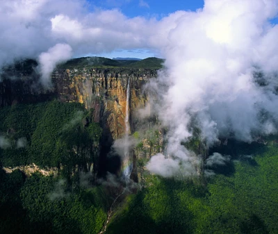 Engelwasserfall: majestätischer Wasserfall umgeben von üppigem Grün im Nationalpark Canaima, Venezuela