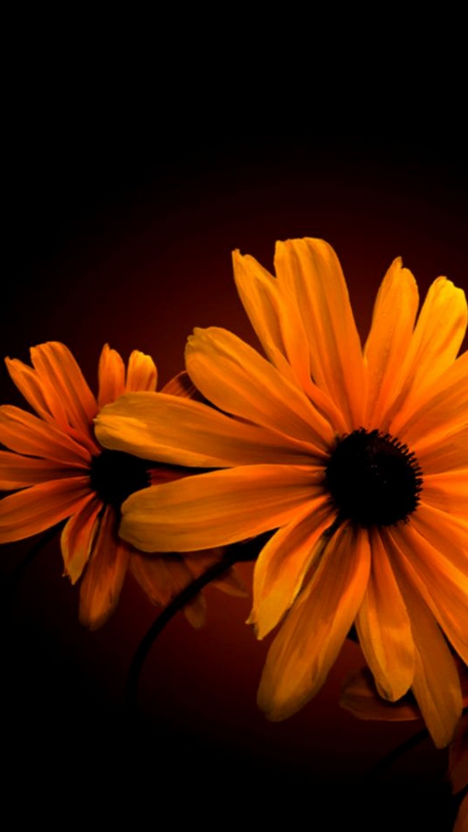 There are three yellow flowers that are sitting on a table (flowers, nature)