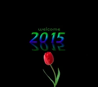 2015, nouvel an, bienvenue