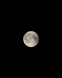 Luna llena iluminando el cielo nocturno