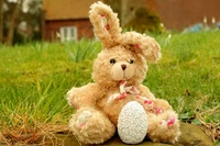 stuffed toy, rabbit, teddy bear, toy, pink wallpaper