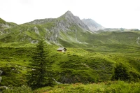 Paisagem montanhosa serena com uma cabana pitoresca aninhada em pastagens verdes exuberantes, cercada por picos imponentes e vegetação vibrante.