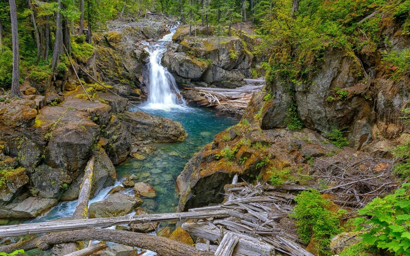 Водопад в середине леса с упавшим деревом (гора рейнир, mount rainier, природа, водопад, водоем)