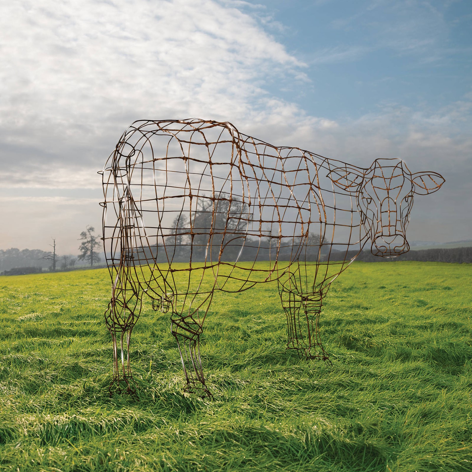 Lade pink floyd, kunst, grasland, gras, baum Hintergrund herunter