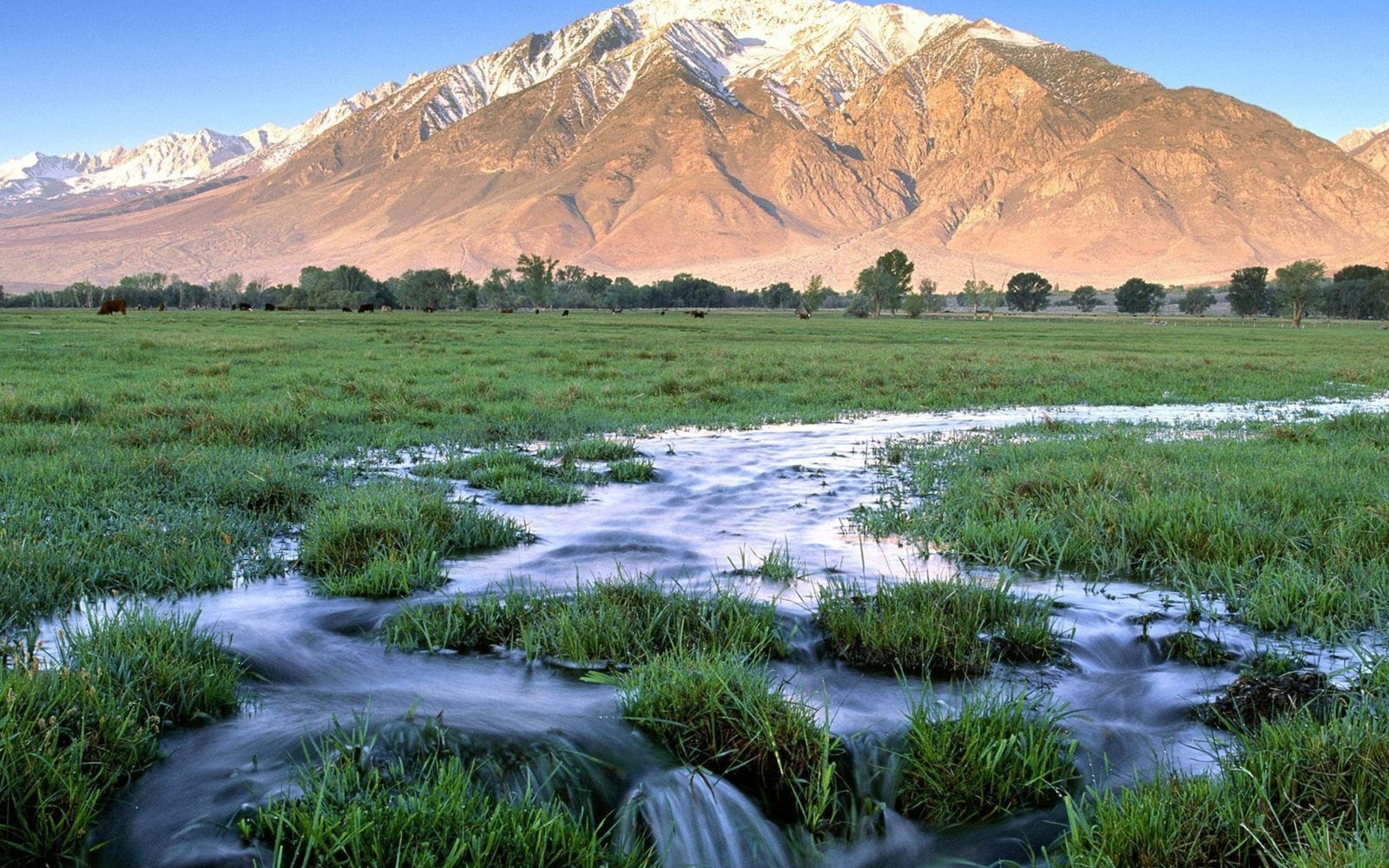 Uma vista arqueada de uma cadeia montanhosa com um riacho passando por ela (montanha, wild, pradaria, reserva natural, tundra)