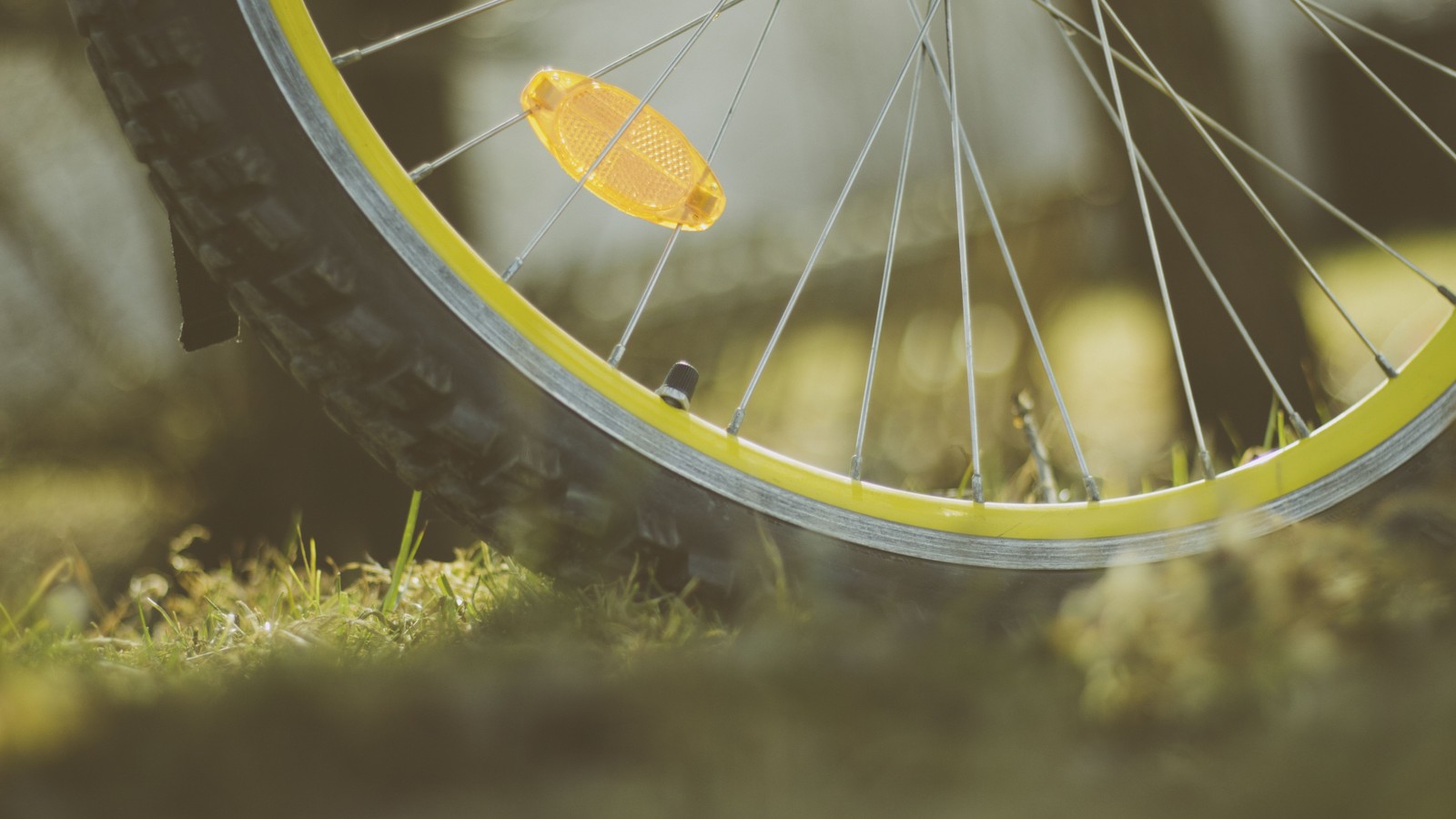 bicycle, wheel, bicycle tire, spoke, bicycle wheel wallpaper