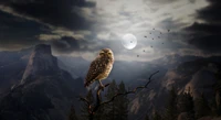 owl, bird, cloud, snowy owl, bird of prey