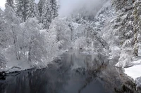 Tranquilidade de inverno: uma floresta coberta de neve abraçando um riacho glacial