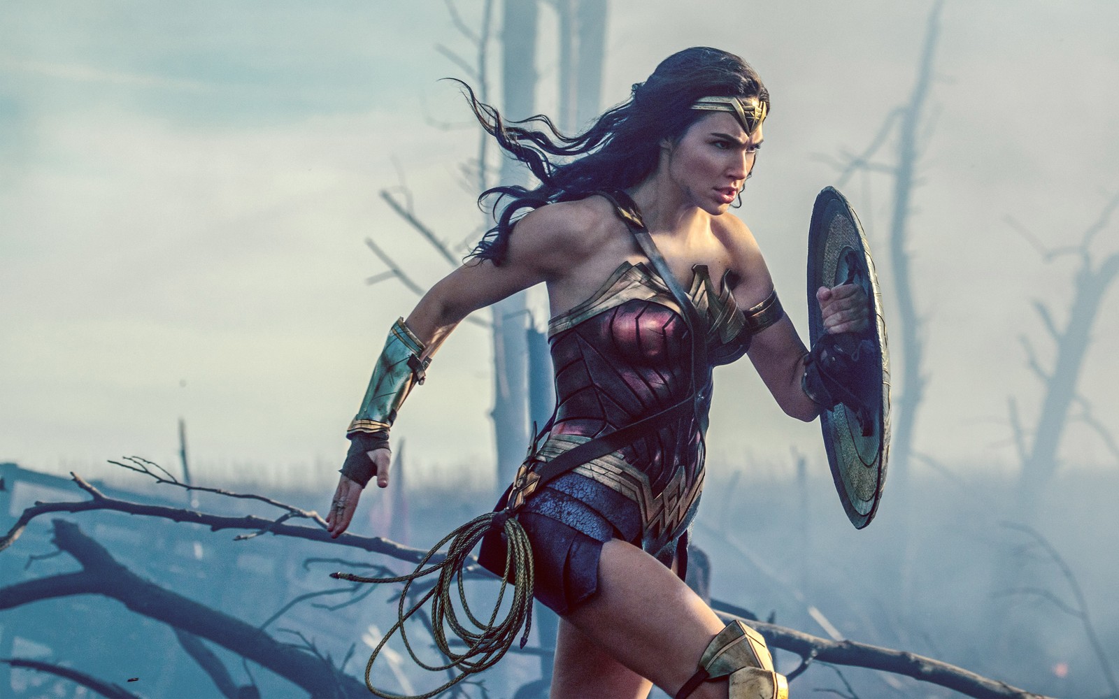 A woman in a costume is holding a shield and a shield (wonder woman, dc comics, batman, amazons, woman warrior)