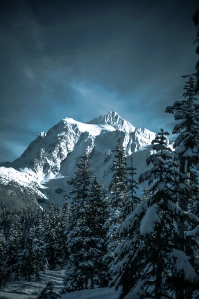 Majestic Mount Shuksan Rising Above Snow-Covered Pines in Winter Wonderland