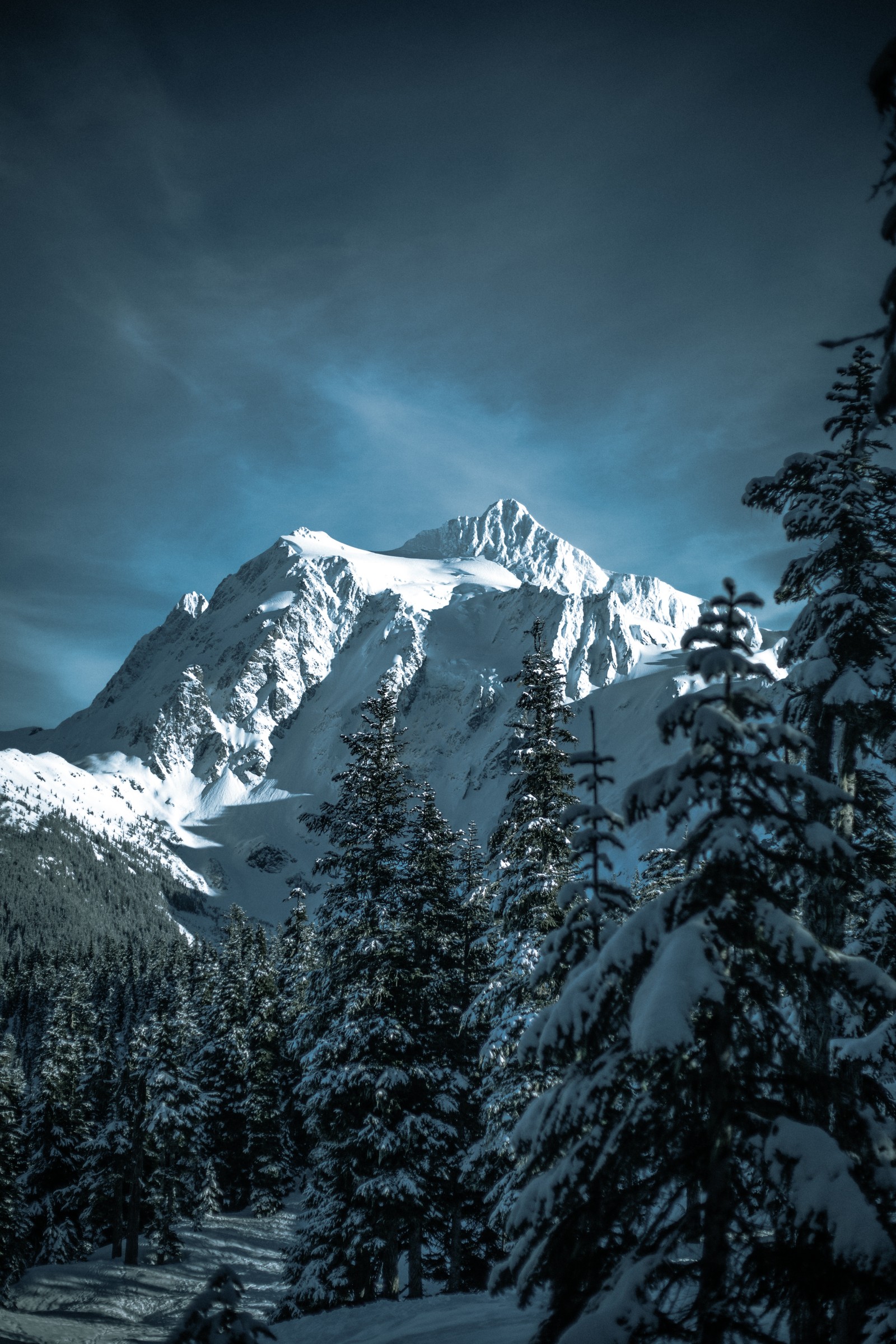 Schneebedeckte bäume vor einem berg mit einer schneebedeckten spitze. (winter, skifahren, schnee, mount shuksan, gebirgige landformen)