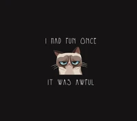 A grumpy cat illustration with the text "I had fun once, it was awful.