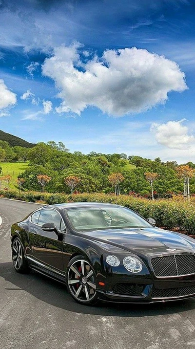 bentley, coche, súper