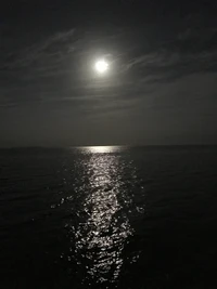 Moonlit Reflection on Tranquil Waters