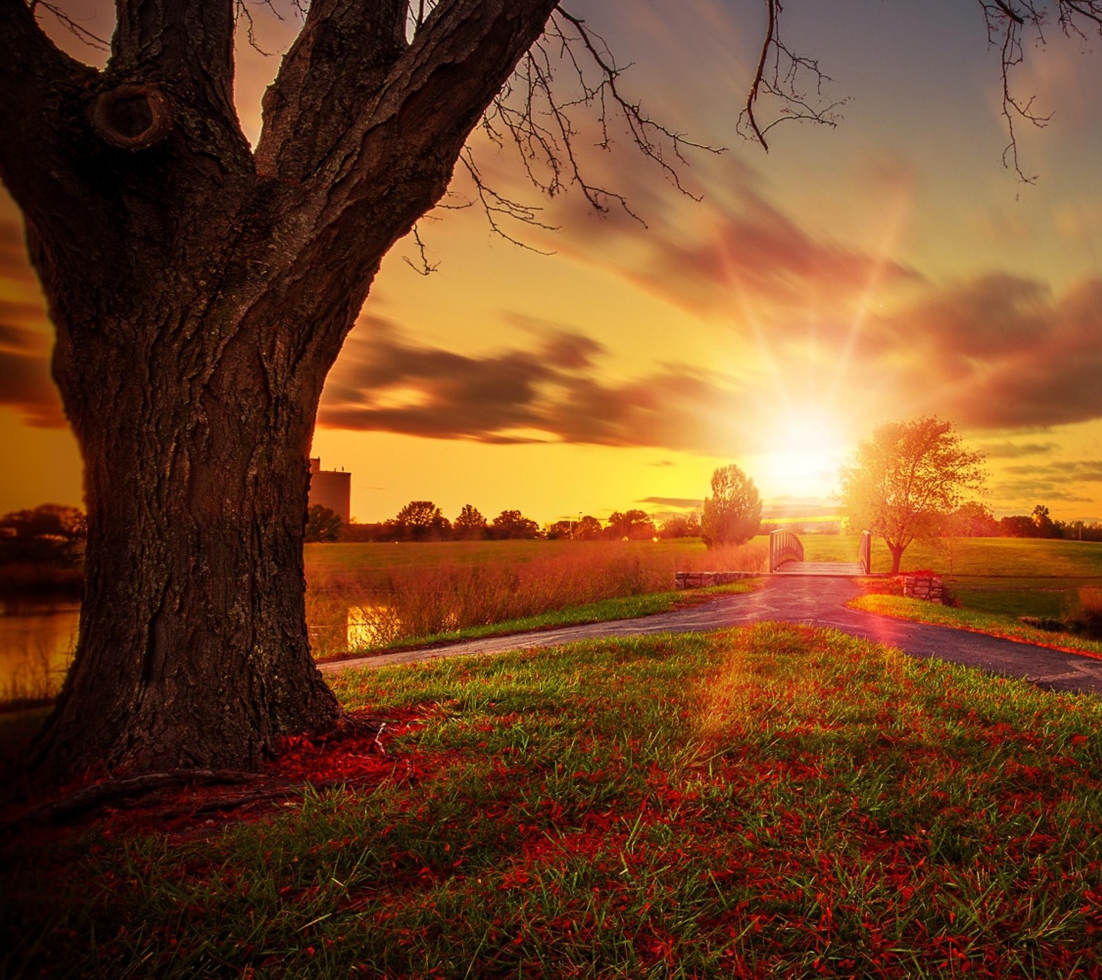 Lade hd, horizont, sonnenuntergang, swewet Hintergrund herunter