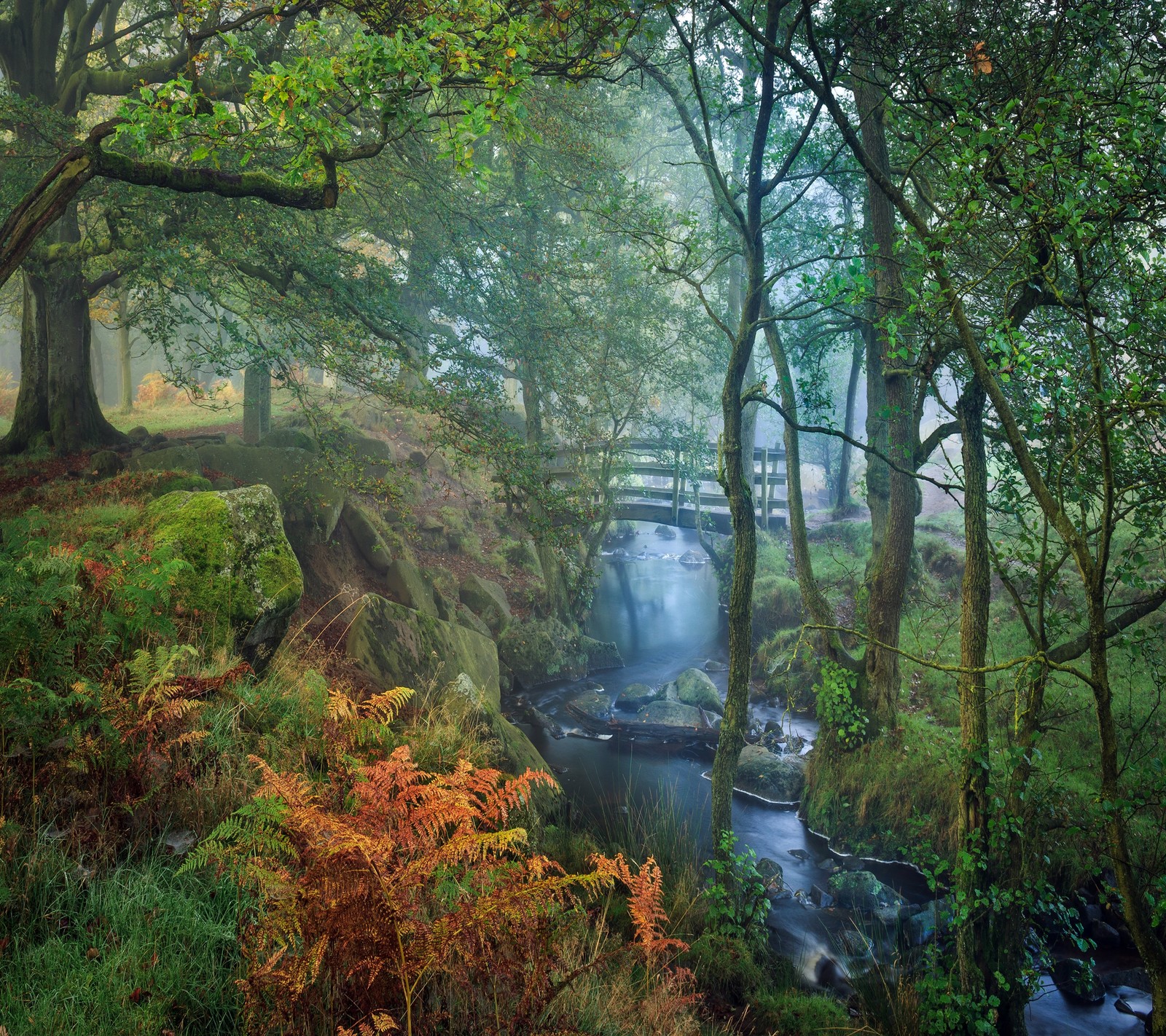 Hay una pequeña cascada en medio del bosque (puente, bosque, hoja, rio, árbol)