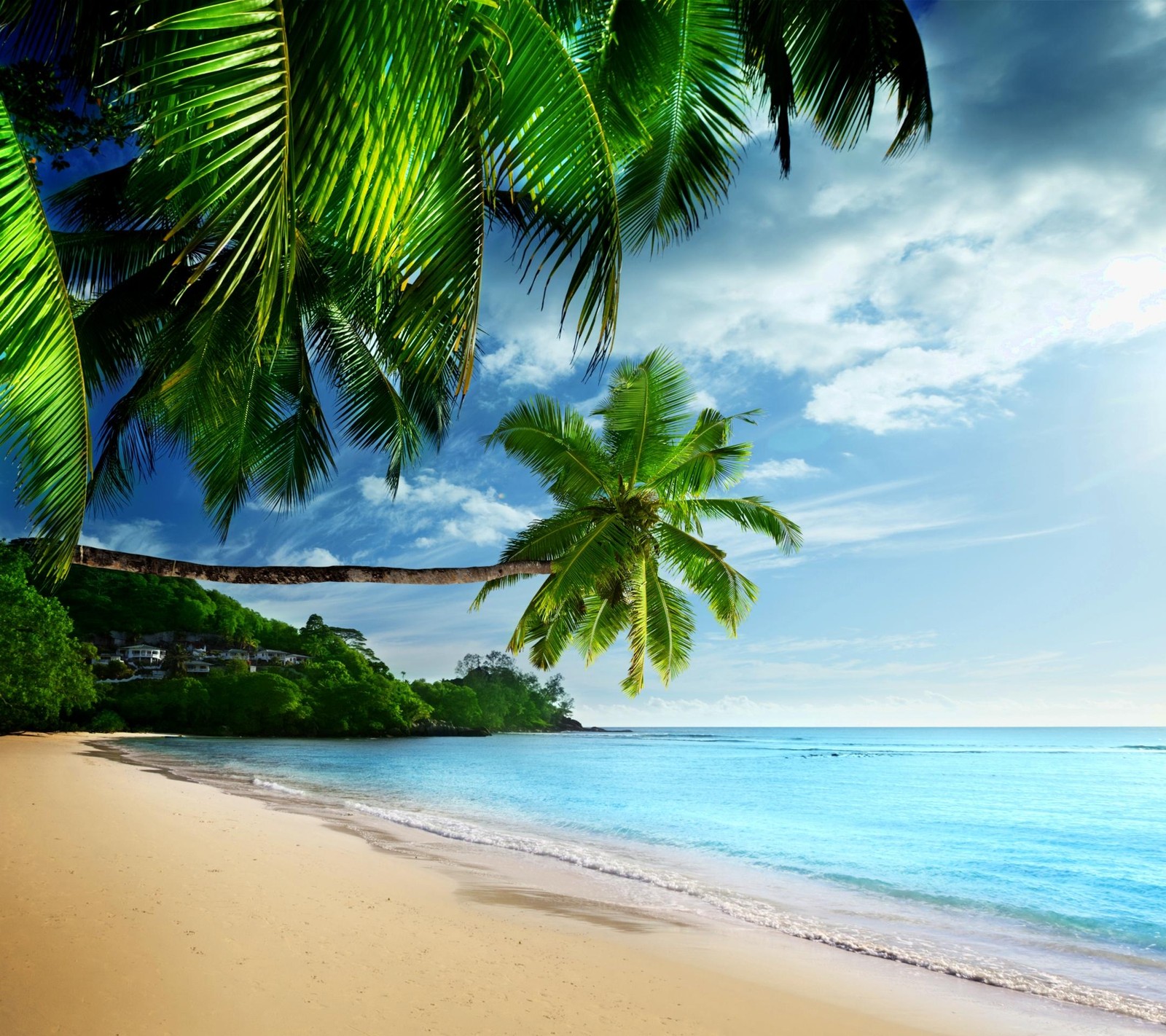 Arafed palm trees line the beach of a tropical island (br, ks)