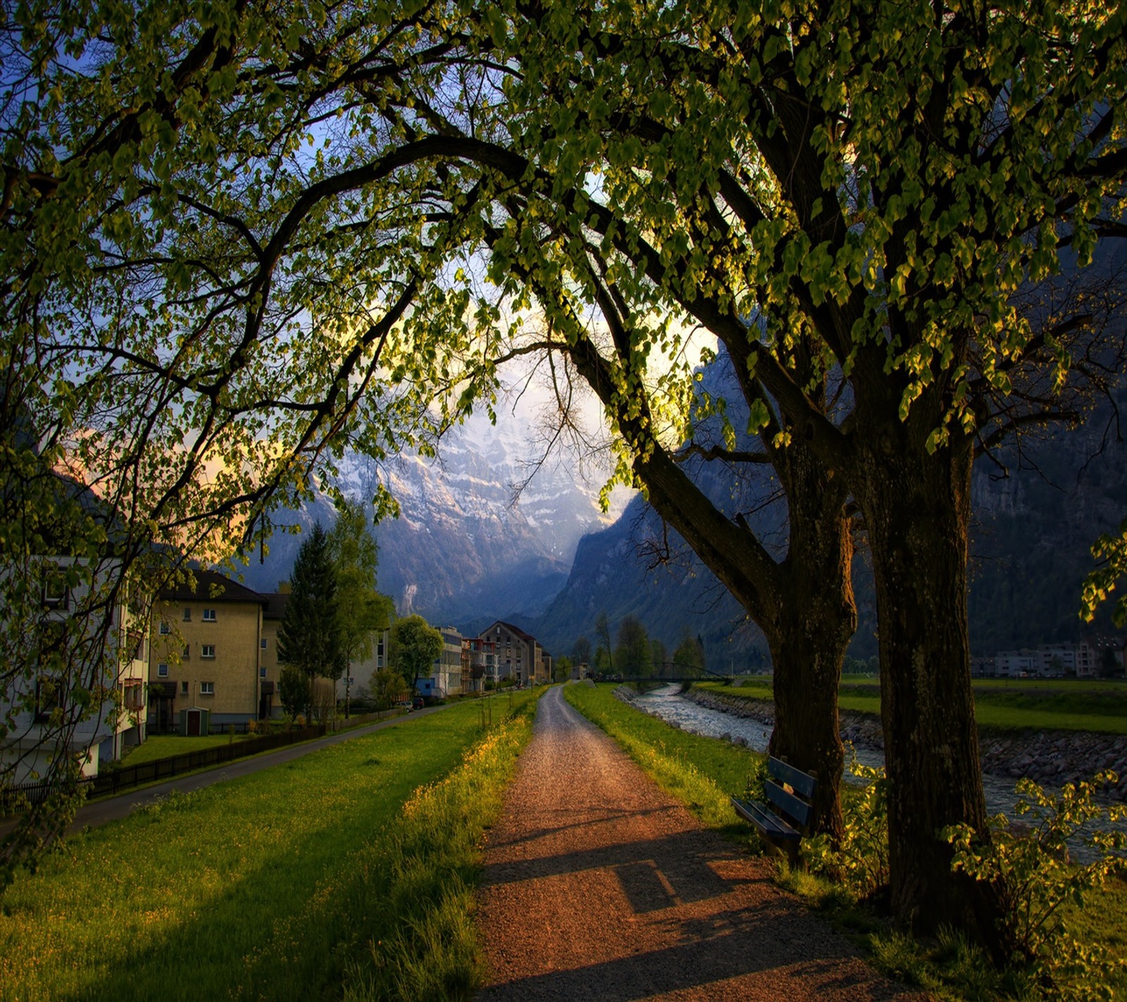 Trees and grass along a path with a mountain in the background (beauty, nice view)