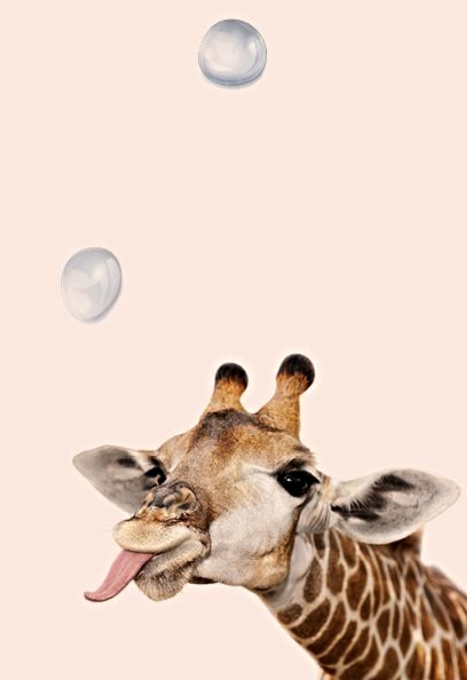 There is a giraffe that is blowing bubbles on the wall (animal, animals, giraffe, other, wallpaper)