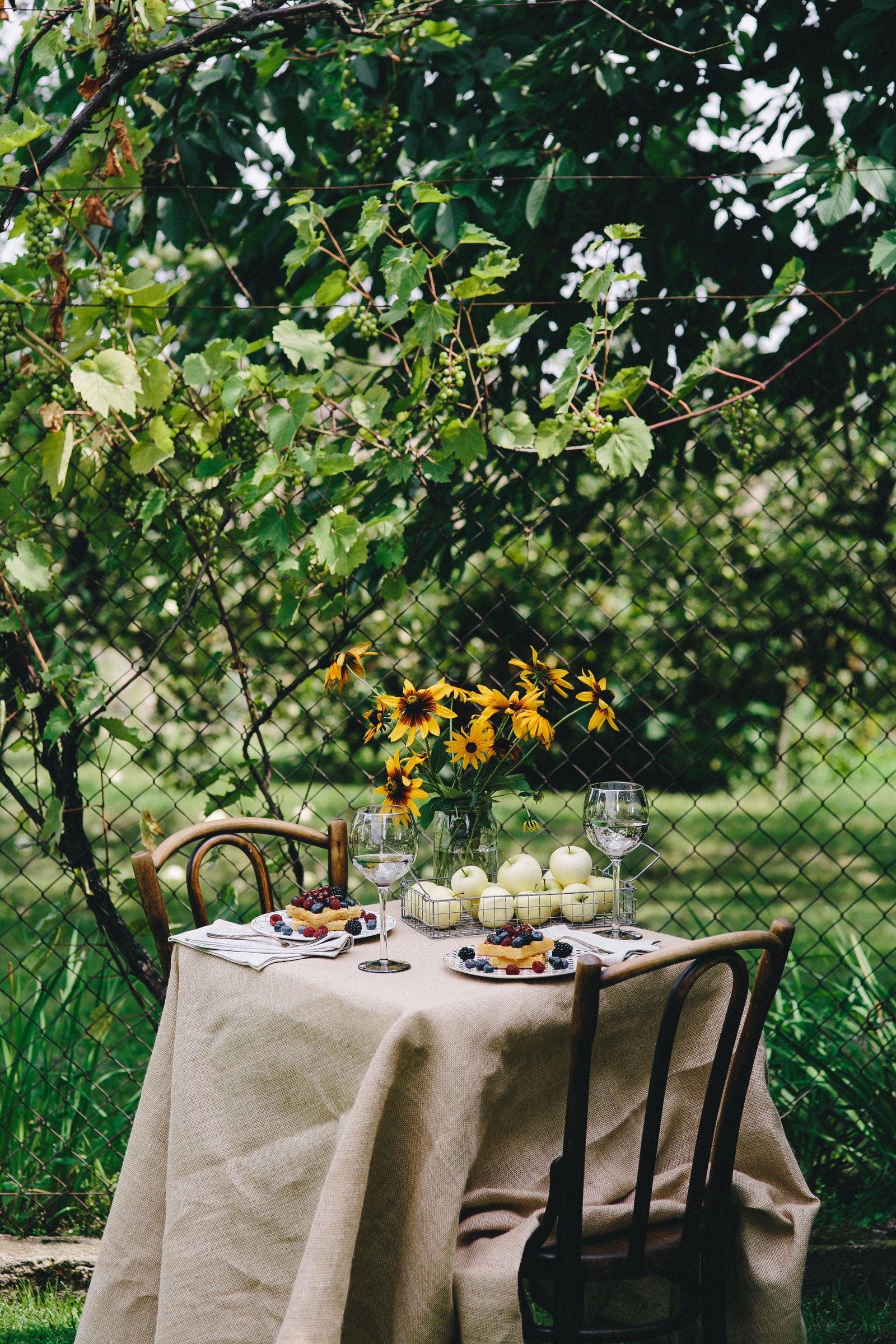 Hay una mesa con un mantel y un jarrón de flores (desayuno, picnic, árbol, amarillo, planta)