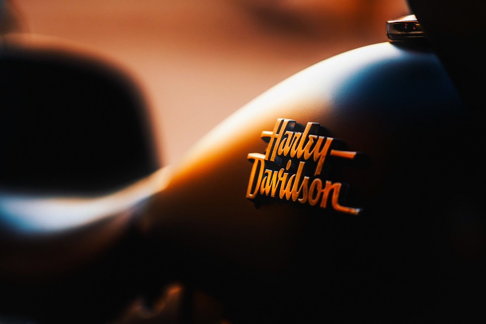 motorcycle, orange, graphics, logo, harley davidson wallpaper