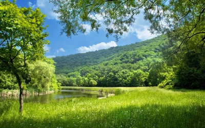 Lush Meadow Surrounded by Verdant Hills and Tranquil Waters