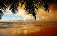 Plage tropicale au lever du soleil avec des silhouettes de palmiers et un ciel dramatique