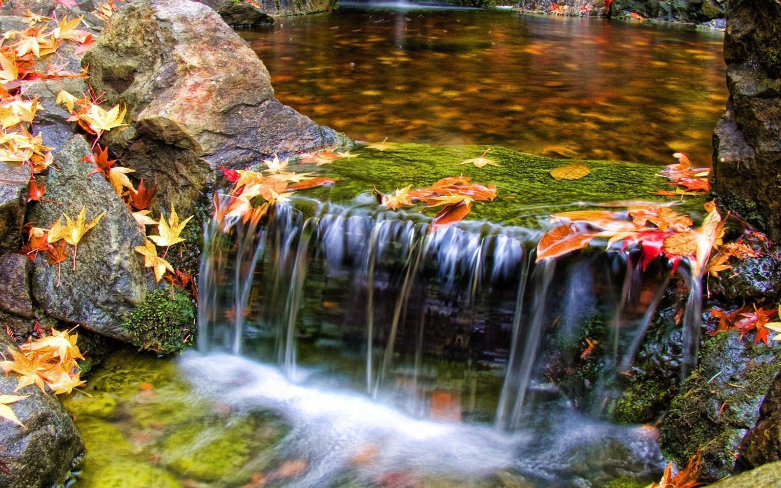 Arafed waterfall in a garden with rocks and leaves on the ground (waterfall, nature, body of water, water, watercourse)