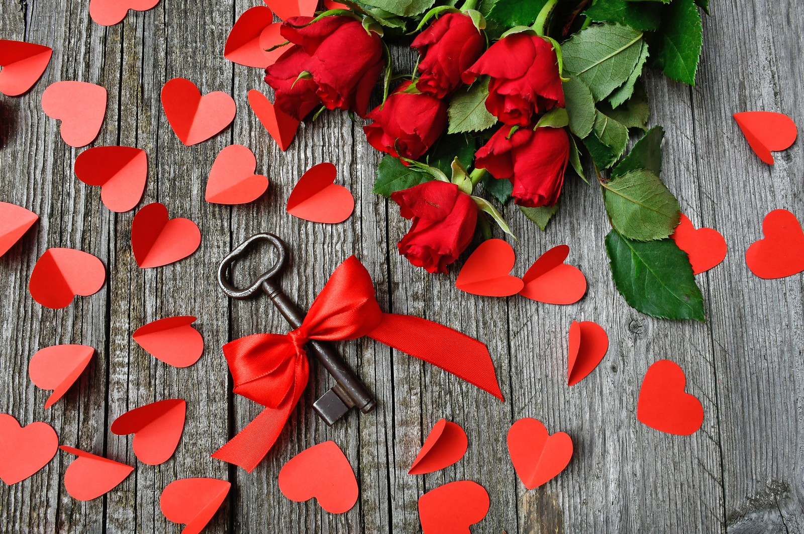 Nahaufnahme eines straußes roter rosen mit einer schere (herz, rot, blatt, blütenblatt, blume)