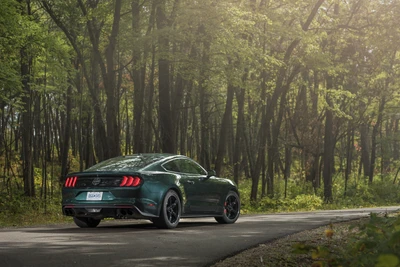 2023 Ford Mustang Boss 302: A Sleek Sports Coup on a Serene Forest Road