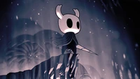 Hollow Knight Stands Resolute Amidst Enigmatic Shadows