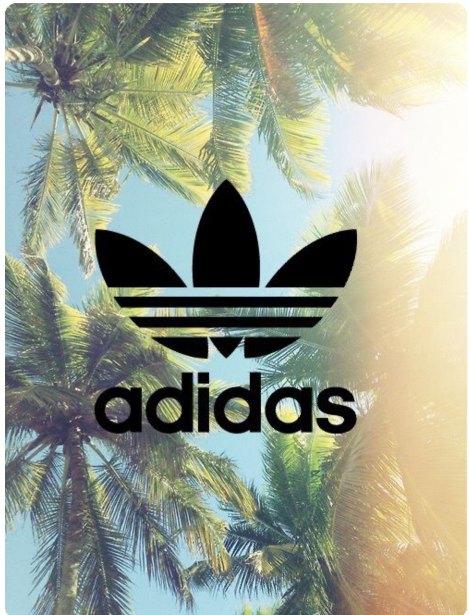 Download adidas, wallpaper for free