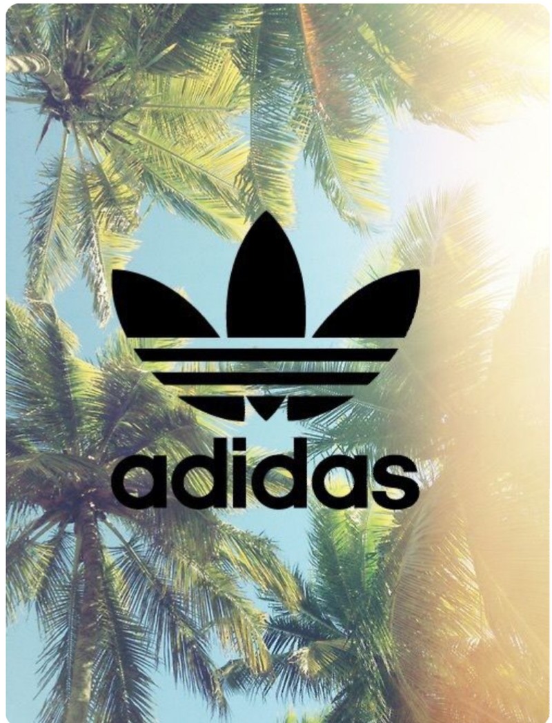 Крупный план пальмы с черным логотипом adidas (обои)