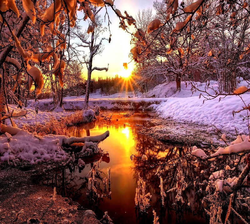 A view of a stream running through a snow covered forest (nature)