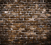 bricks background, natural wall