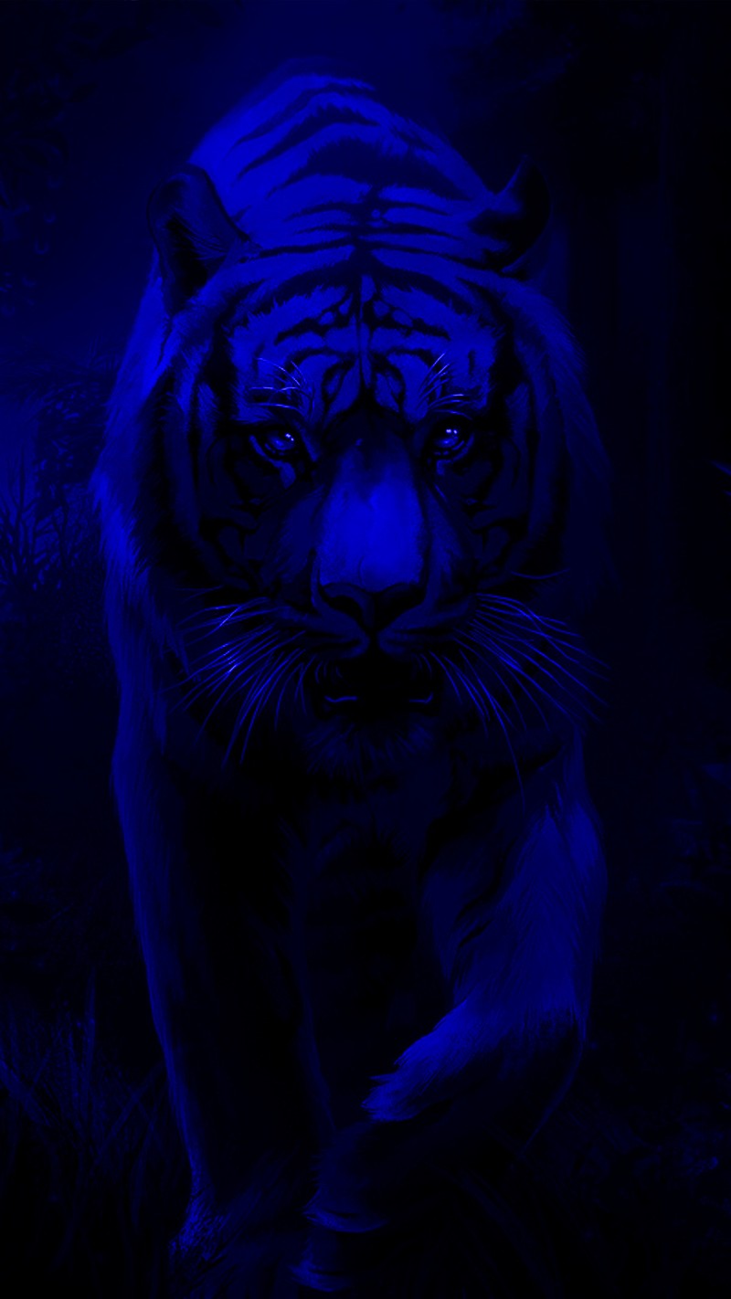 Arafed tiger walking in the dark with a blue light (blue, tiger)