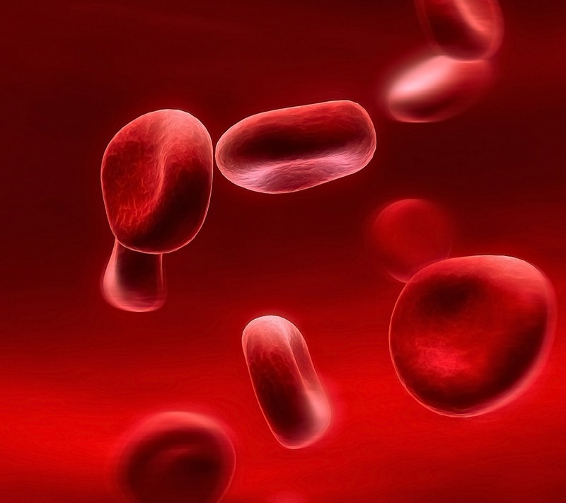 Кровяные клетки в вене с красной кровью, текущей через них (кровь, blood cells, красный)