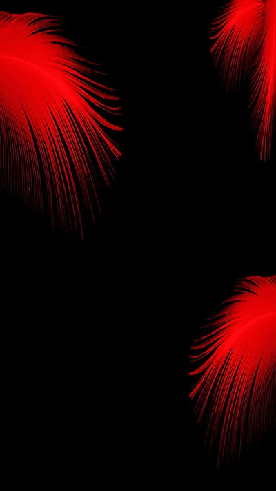 feather, red