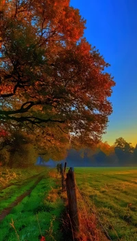 Paysage d'automne avec un feuillage vibrant et un chemin serein